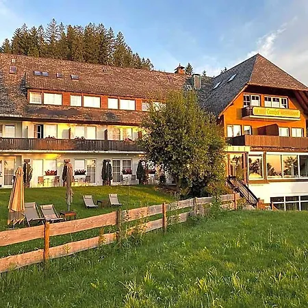 Tannhof 3* Feldberg (Baden-Wurttemberg)