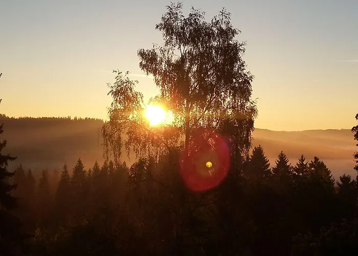 Tannhof フェルトベルク